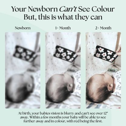 0+ Month Newborn Sensory Cards