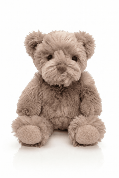 COZY Teddy Bear Super Soft Cuddly