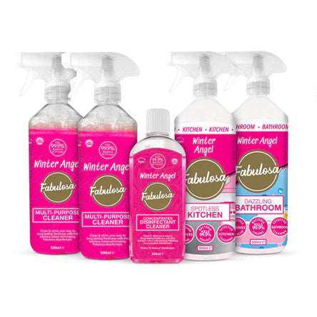 Cleaning Bundle - winter angel