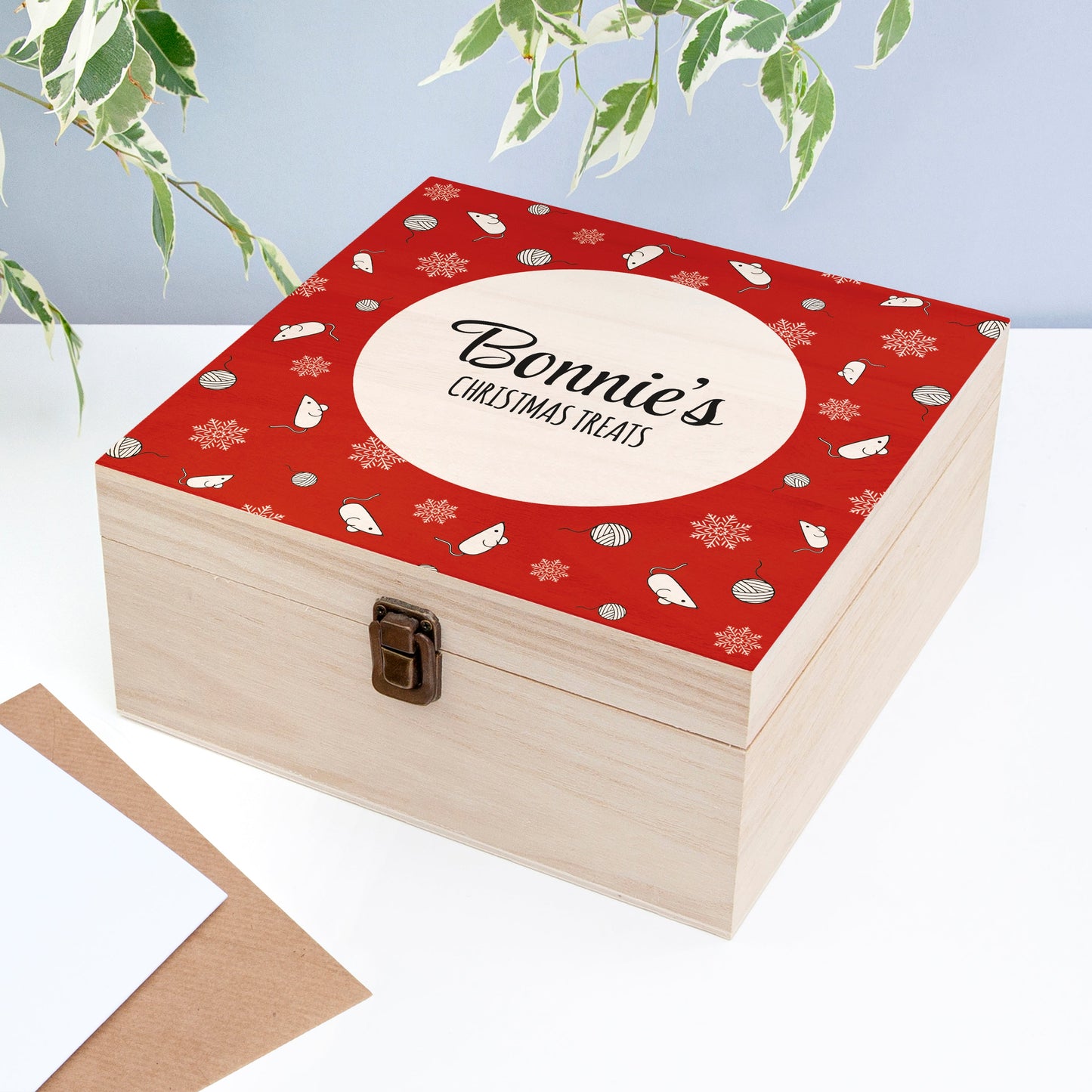 Personalised Cat Treats Christmas Box