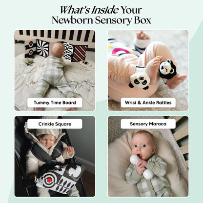 The Newborn Sensory Box (0-6+ Months)